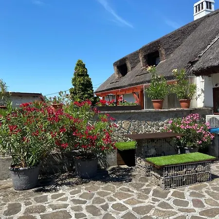 Guest house Centrum Vendeghaz
