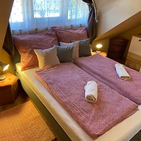 Centrum Vendeghaz Guest house