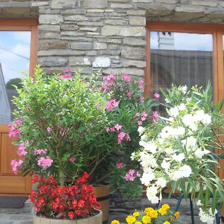 Maison d'hôtes Centrum *