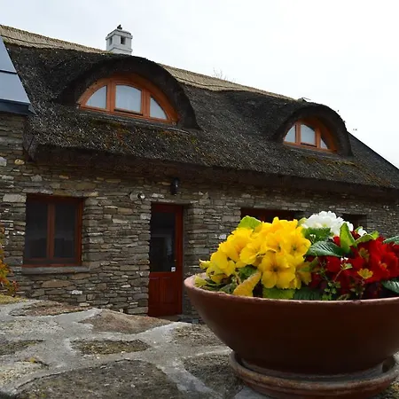 Maison d'hôtes Centrum