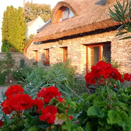 Maison d'hôtes Centrum Tihany