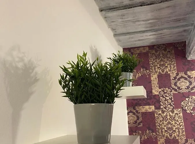 温德伽斯中心酒店 3* 蒂豪尼
